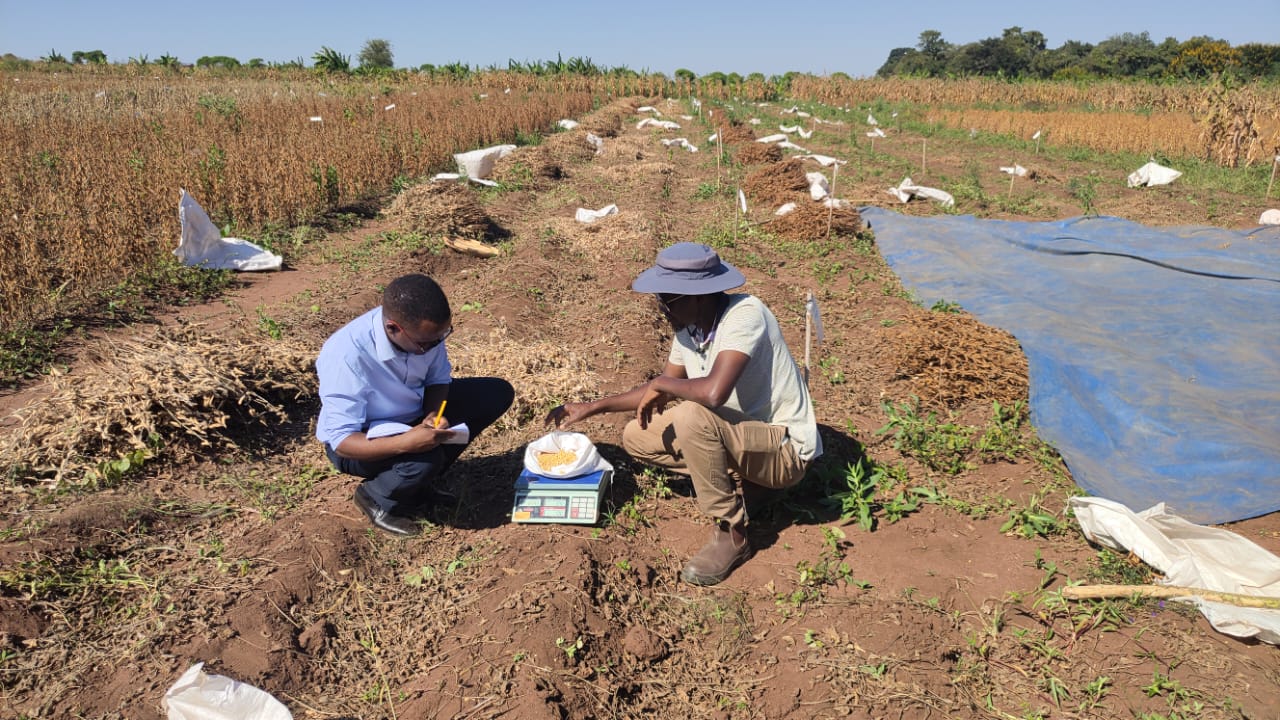 Professor Charles Spillane’s
AgriBiosciences, Food Security & Climate Resilience Lab
Ryan Institute