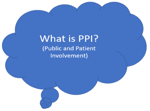 What is PPI?