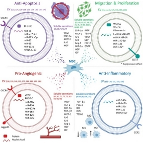 Credit: Brennan et al