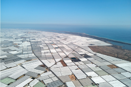 Agri-Immanence Press Release: