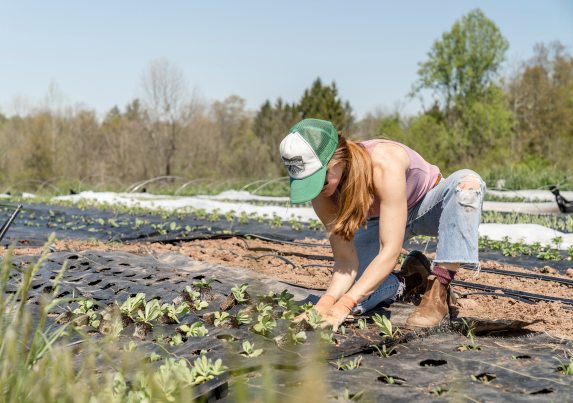 Agriculture, Food Systems & BioEconomy Research Centre