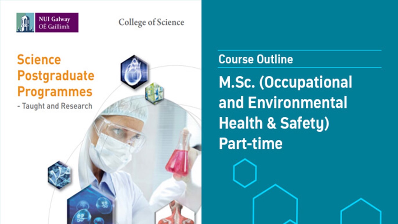 MSc Occupational and Environmental Health