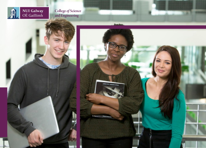 Undergraduate Programmes