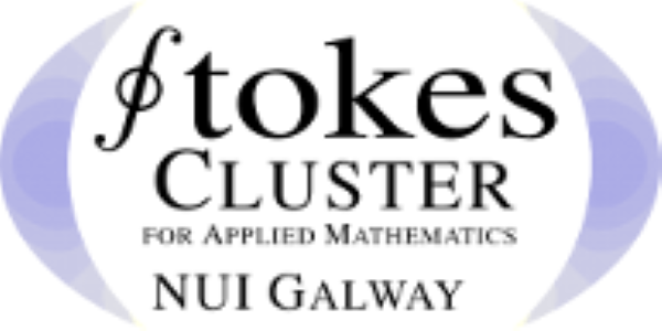 Ninth Stokes Modelling Workshop