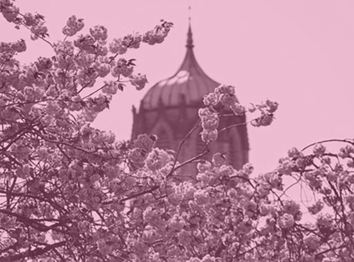 Admissions