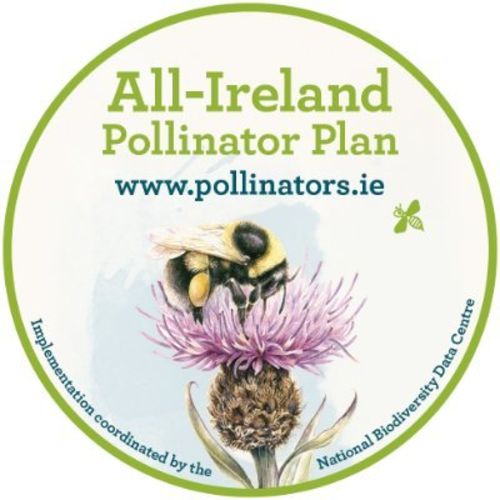 All Ireland Pollinator Plan