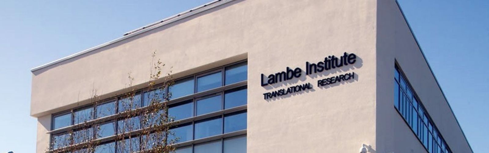 A building with windows with the words 'Lambe Institute' written on it